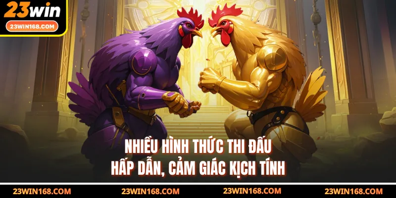 Nhiều hình thức thi đấu hấp dẫn, cảm giác kịch tính
